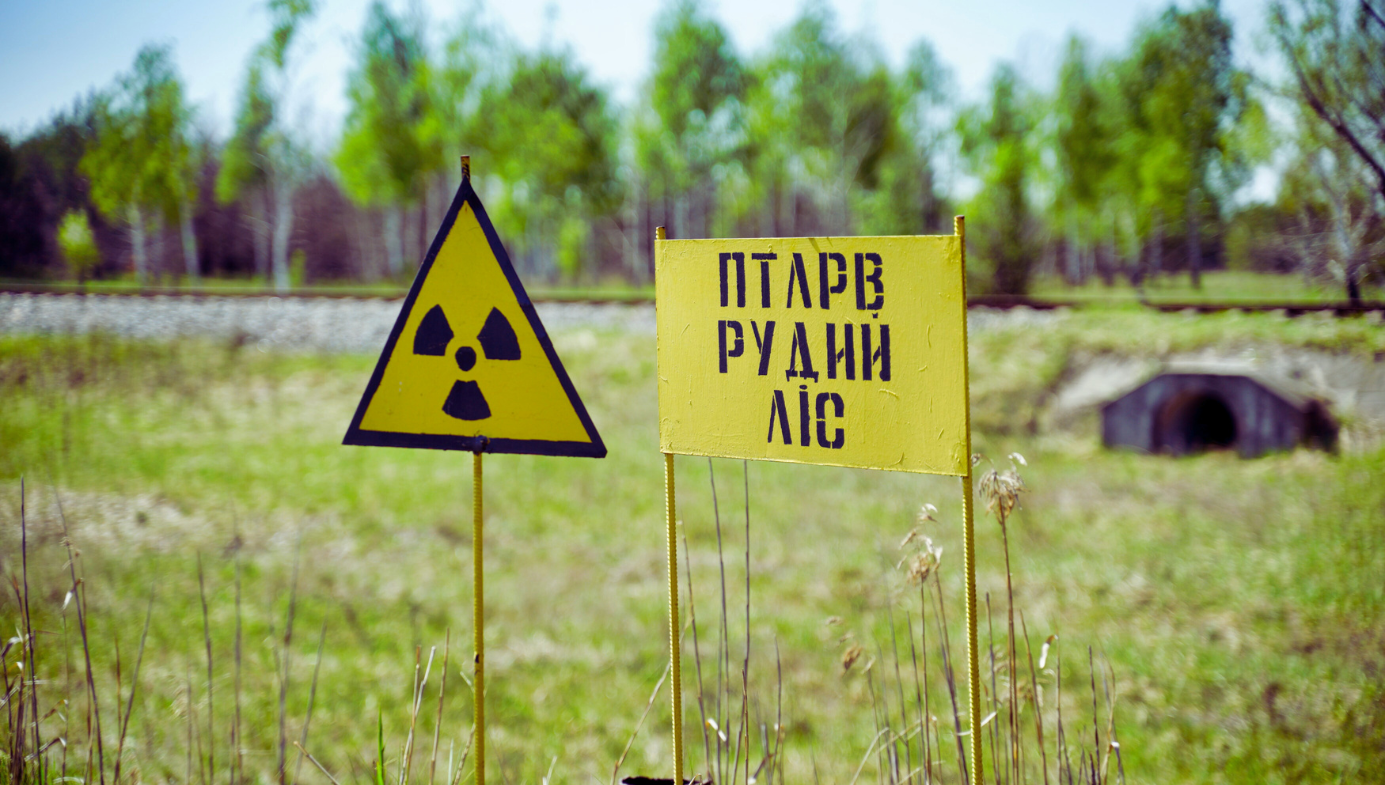 Chernobyl Revisited