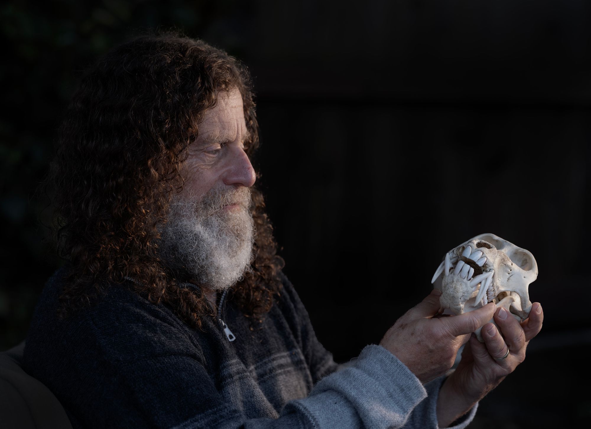 Robert Sapolsky is Wrong