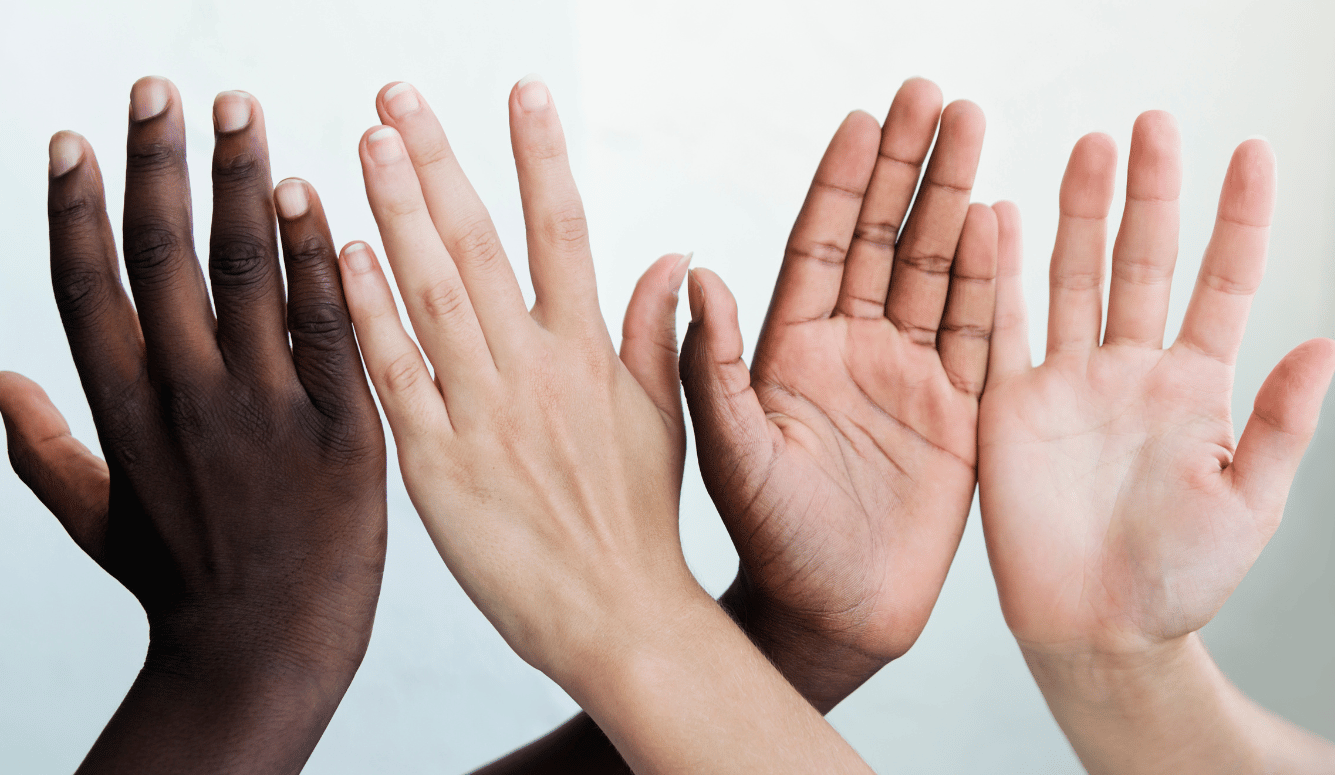 Hands showing different skin colours on white background.