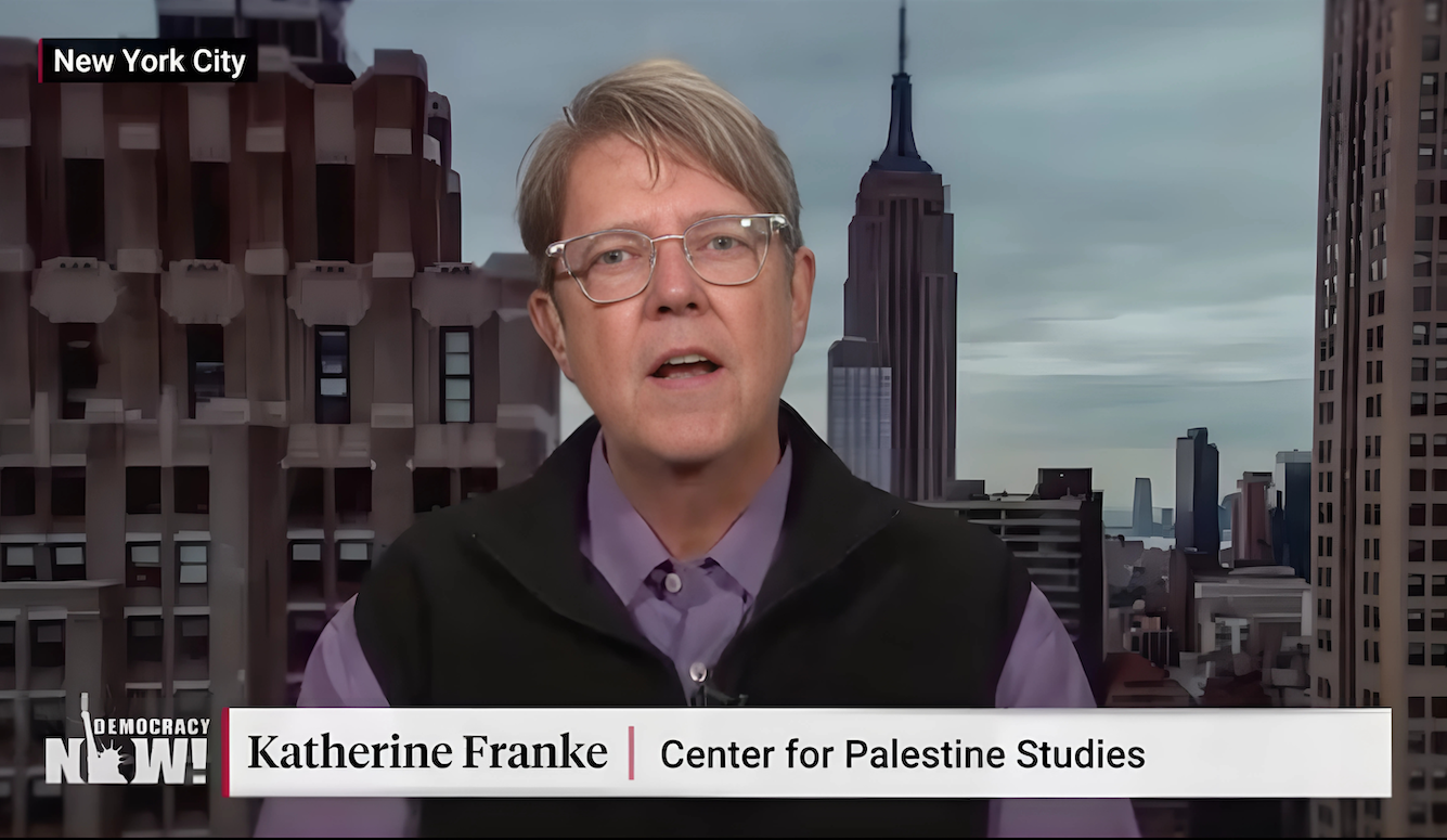 Katherine Franke is middle-aged. She is wearing a shirt and glasses, sitting in front of a backdrop of New York City. 