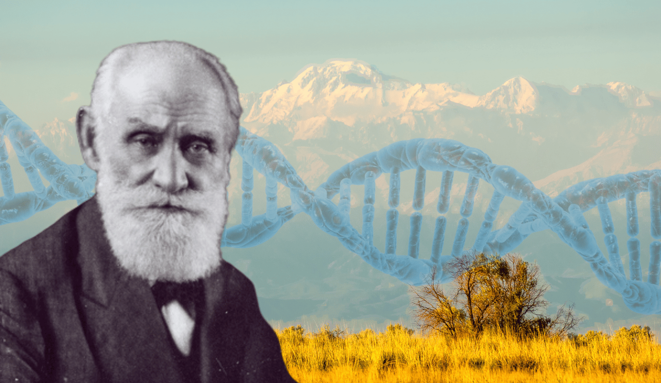 A collage of steppe mountains, DNA, and a black-andwhite portrait of an old man with a white beard.