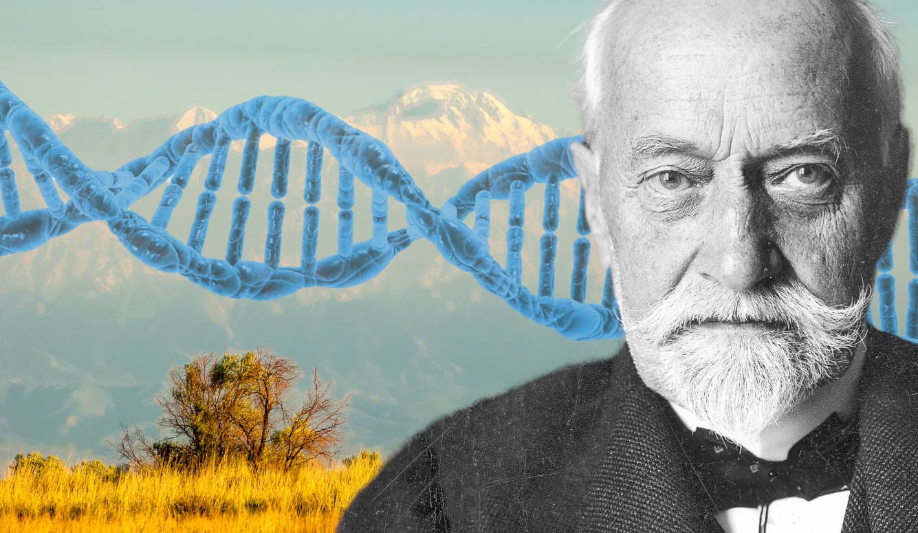 Ancient DNA and the Return of a Disgraced Theory