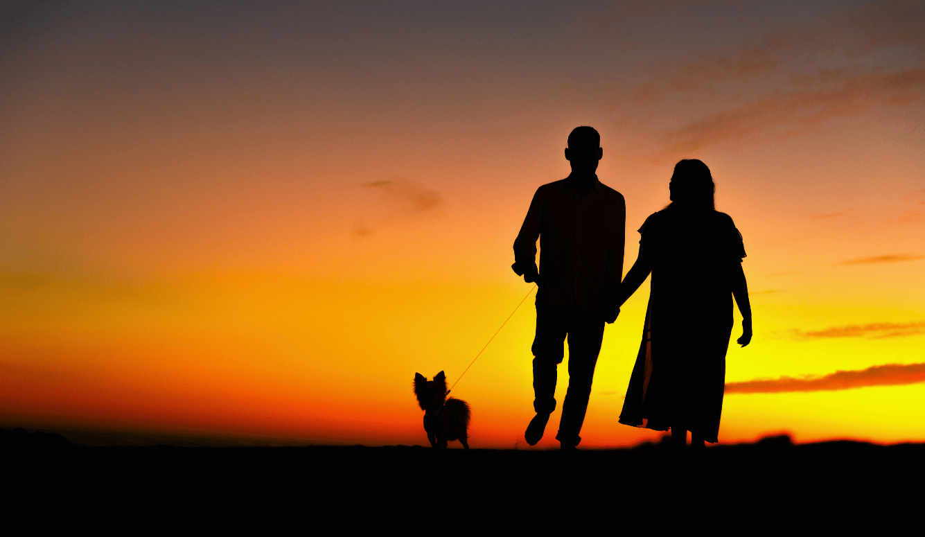 Silhouette of couple walking at sunset with a small dog on leash.