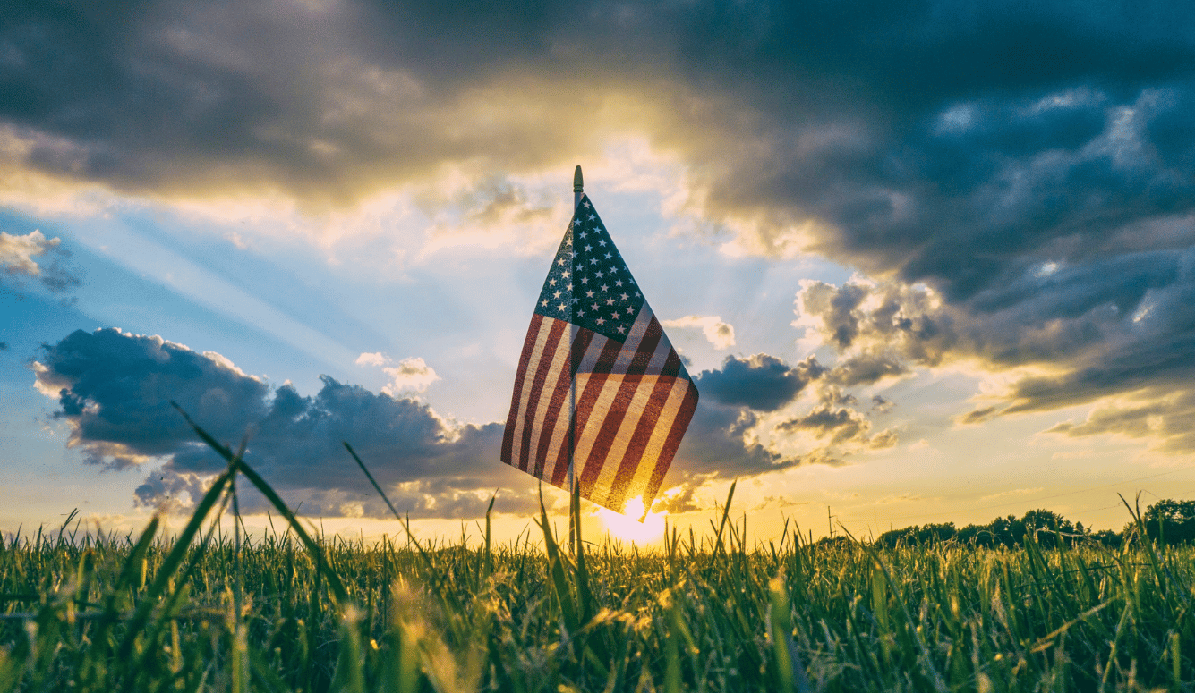American flag in the grass. 