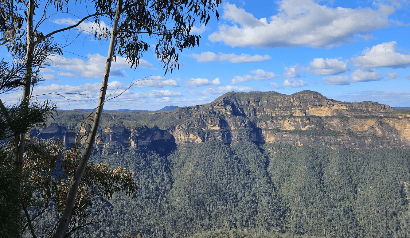 A wooded mountain ra