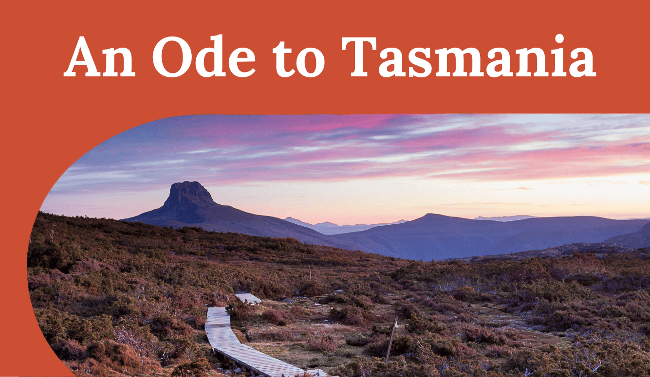Wooden boardwalk winding through alpine heathland towards a mountain at sunrise in Tasmania’s highlands.