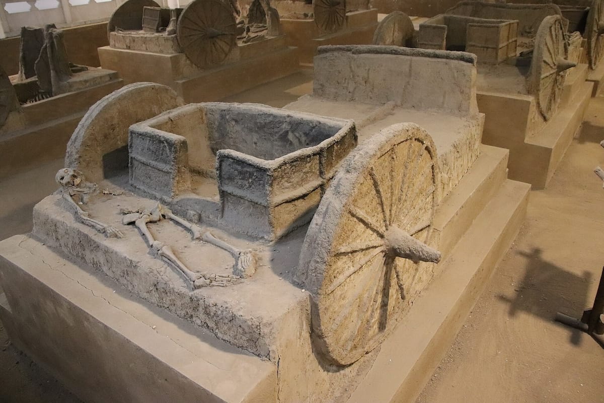 Excavated Shang Dynasty war chariot with large wooden wheels displayed beside human skeletal remains in a museum.