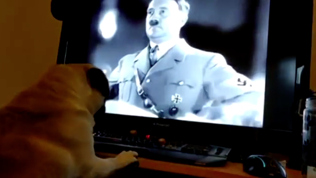 Online Hate Speech and the Nazi Pug