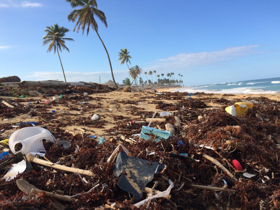 Plastic Pollution is a Real Problem—and It Won't Be Solved by Straw Bans