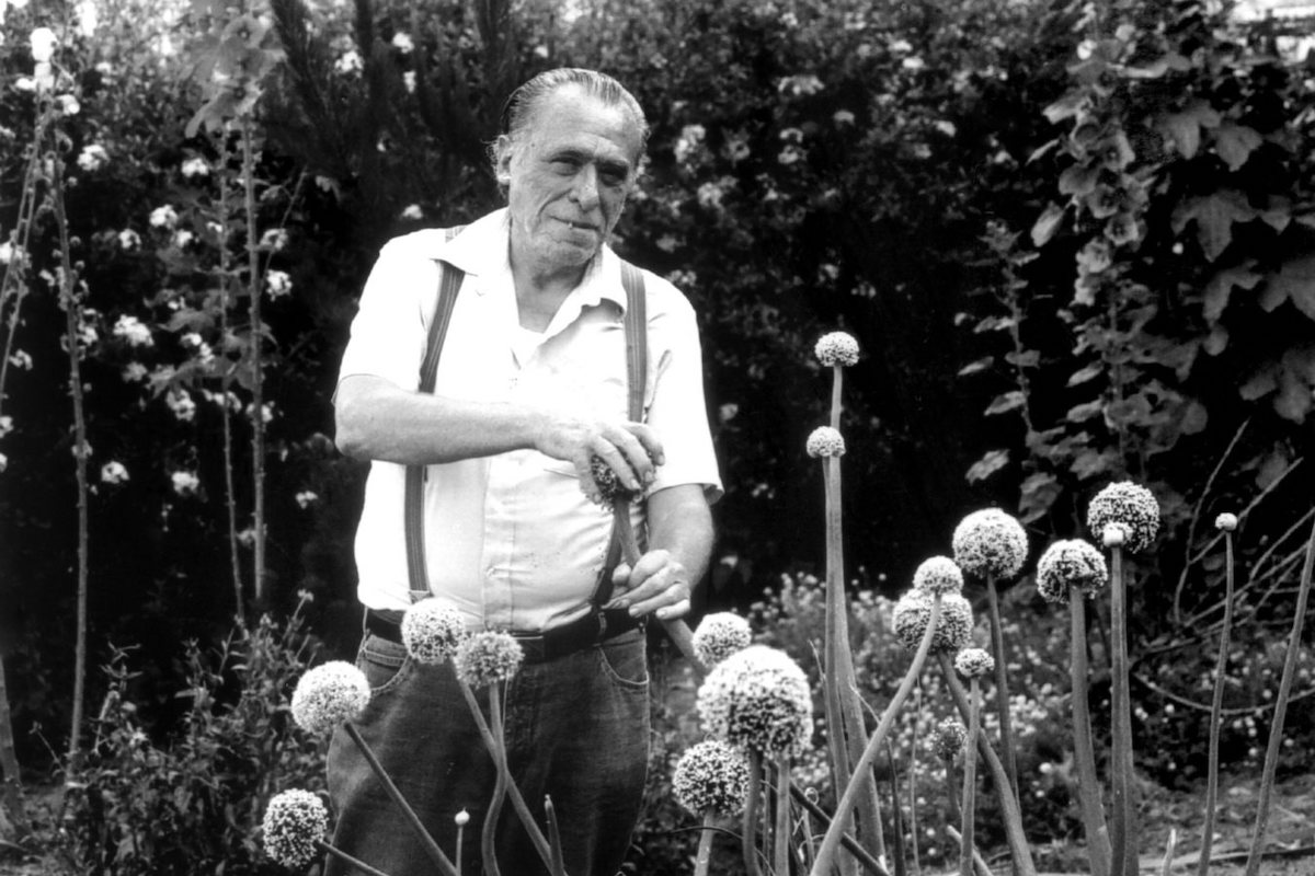 Bukowski: Recommended Reading for the Damned